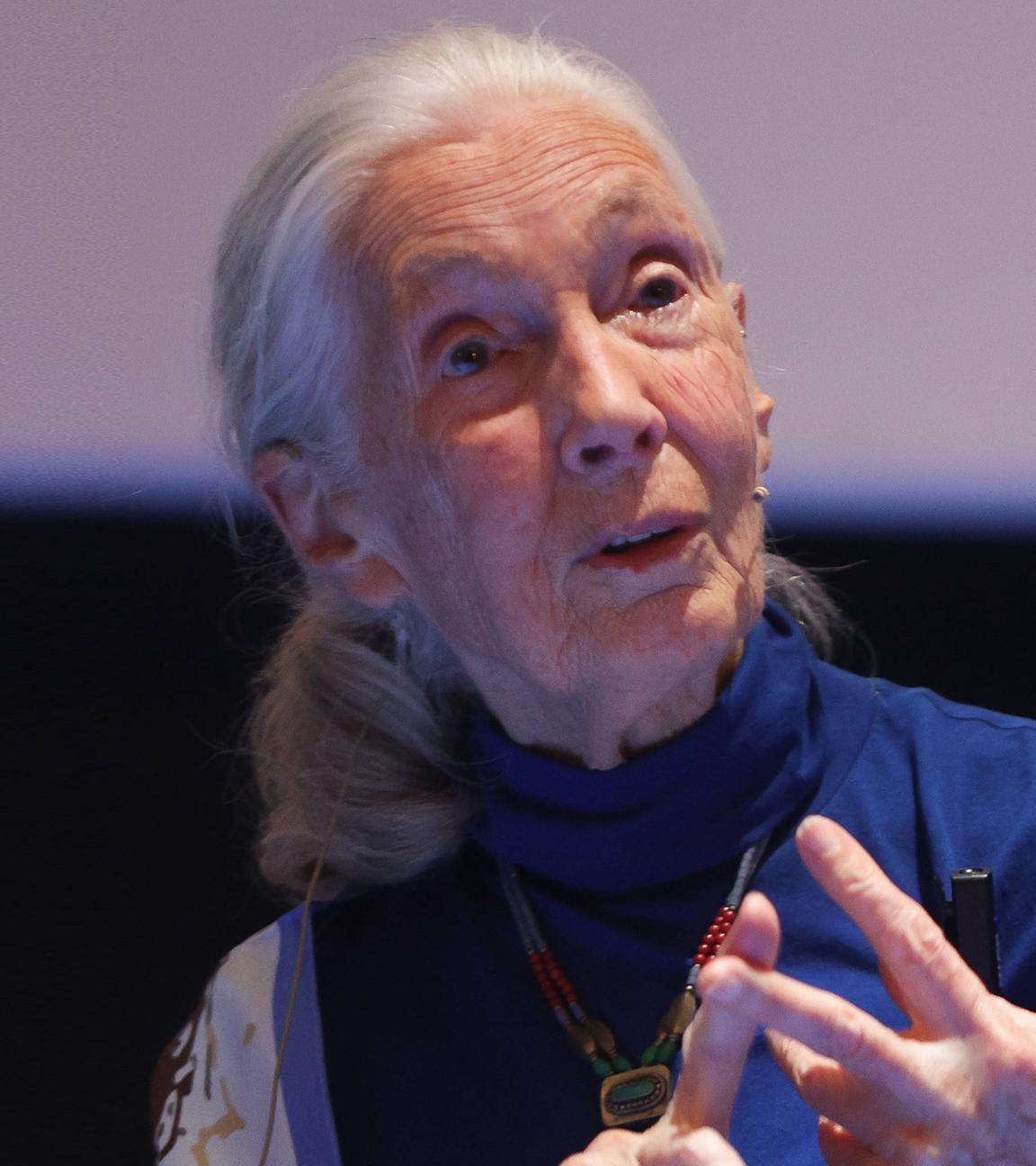 Jane Goodall