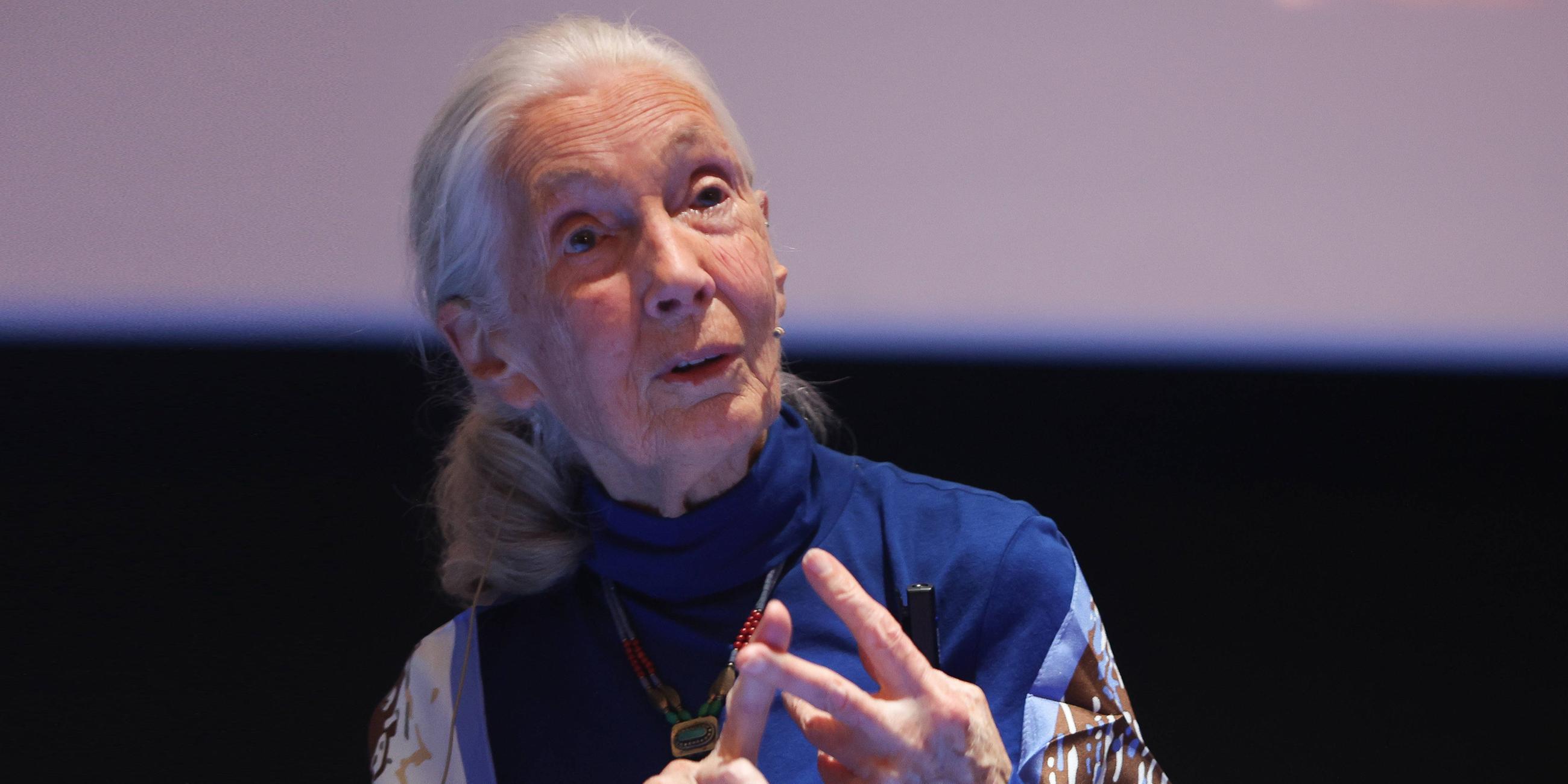Jane Goodall