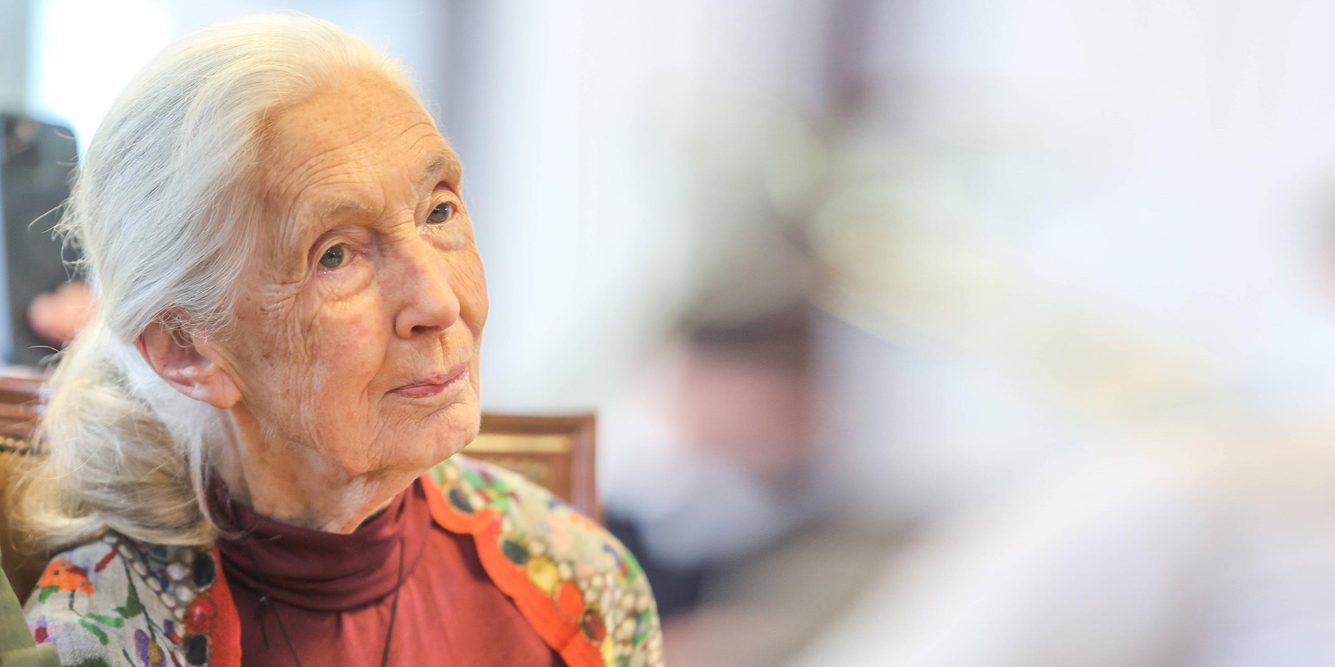 Jane Goodall