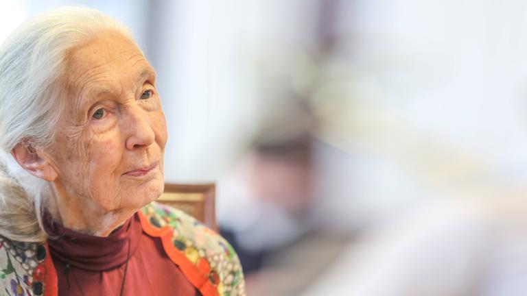 Jane Goodall