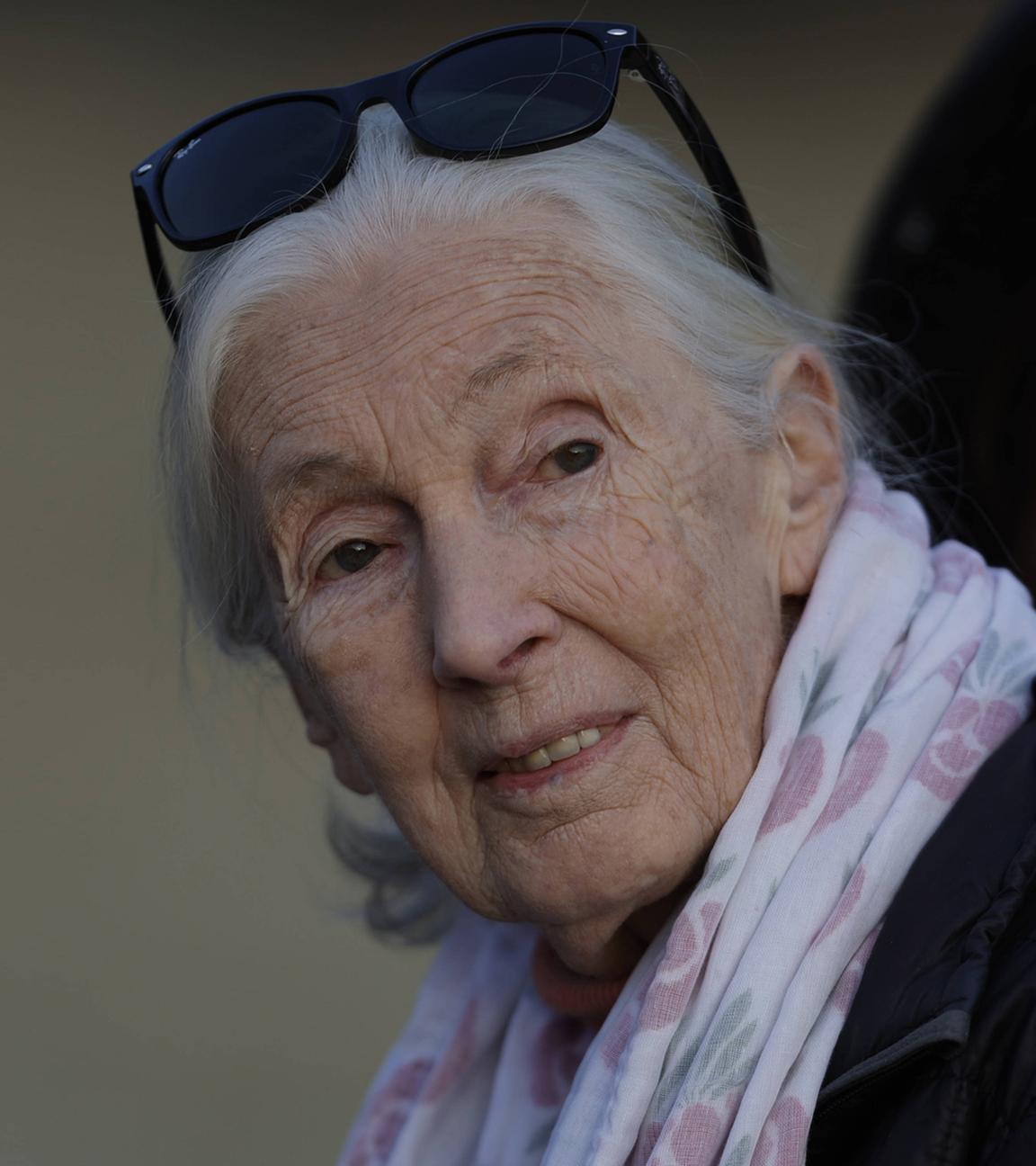 Jane Goodall