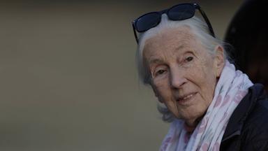 Jane Goodall