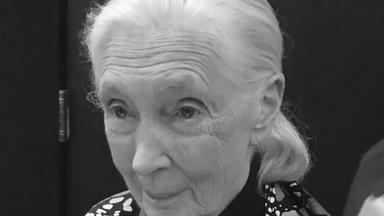 Jane Goodall attends the New York Film Festival screening of Jane at Lincoln Centers Walter Reade Theatre in New York City on October 5, 2017. 