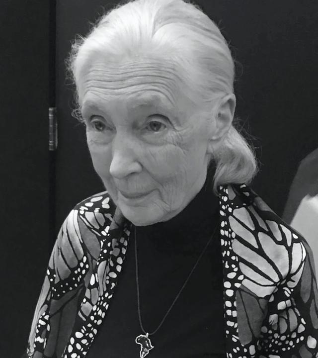 Jane Goodall attends the New York Film Festival screening of Jane at Lincoln Centers Walter Reade Theatre in New York City on October 5, 2017. 