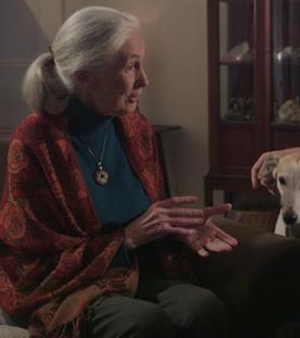 Jane Goodall mit Dirk Steffens