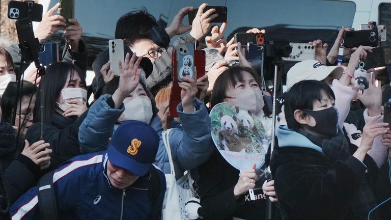 Eine Vielzahl von Menschen filmen mit ihren Smartphones. Sie filmen das Fahrzeug, dass Panda-Zwillinge transportiert.