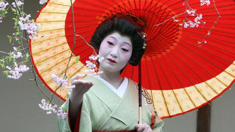 Eine japanische Geisha betrachtet den Ast eines japanischen Kirschbaums. Sie hält einen dekorativen, roten Regenschirm.