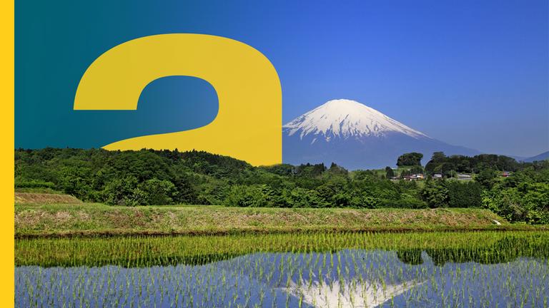 Mount Fuji spiegelt sich in einem Reisfeld