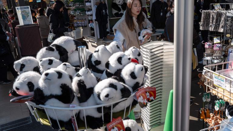 Japan, Tokyo: Am letzten Tag, an dem die Panda-Zwillinge Xiao Xiao und Lei Lei vor ihrer Abreise nach China öffentlich gezeigt werden konnten, wurden Plüsch-Panda-Souvenirs zum Verkauf angeboten.