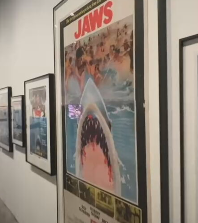 50 Jahre weißer Hai: Ausstellung mit Biss