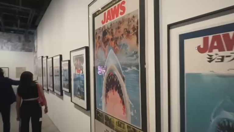 50 Jahre weißer Hai: Ausstellung mit Biss