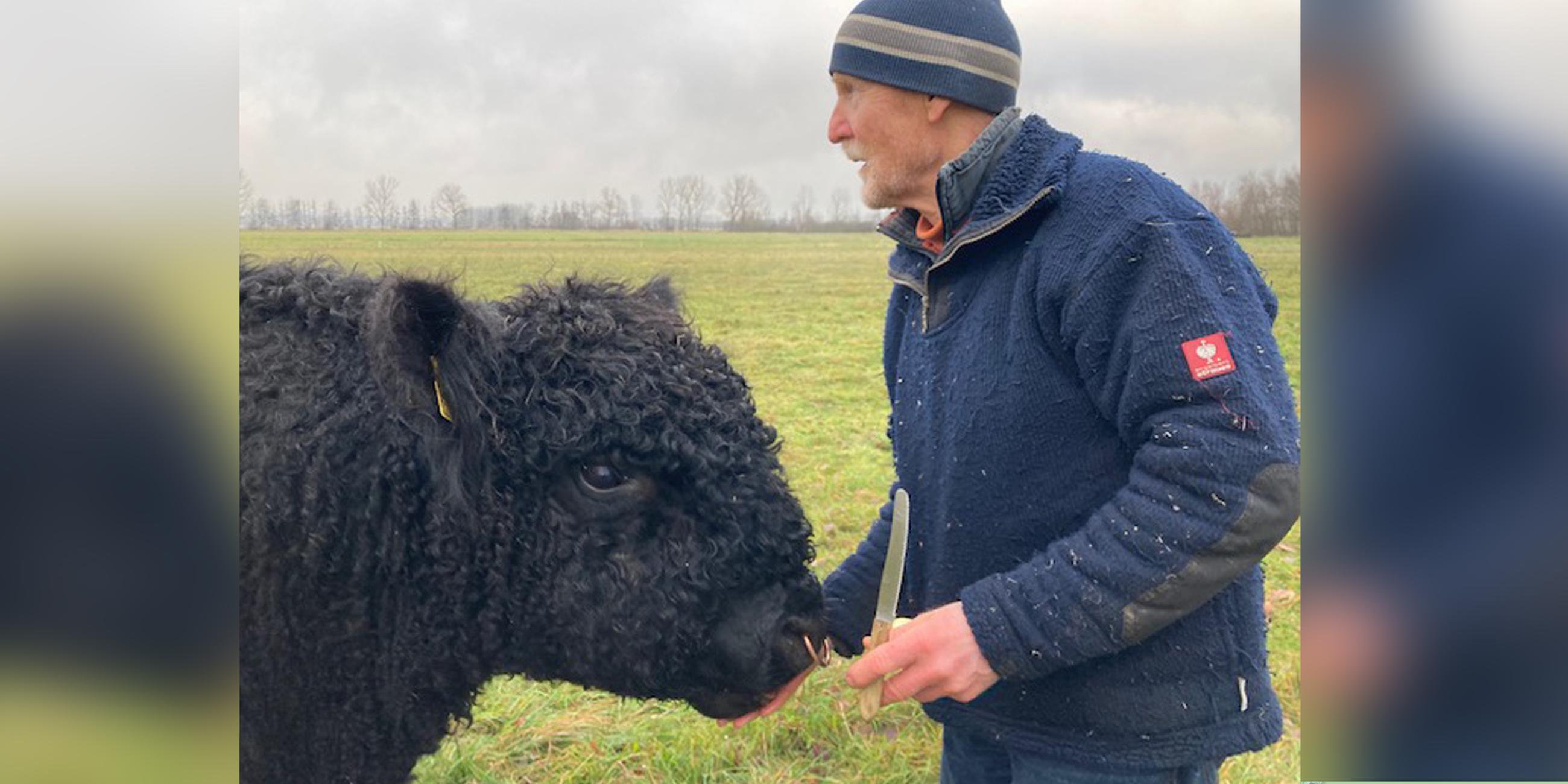 Jörg Lauenroth-Mago züchtet in Sachsen-Anhalt Galloway-Rinder.