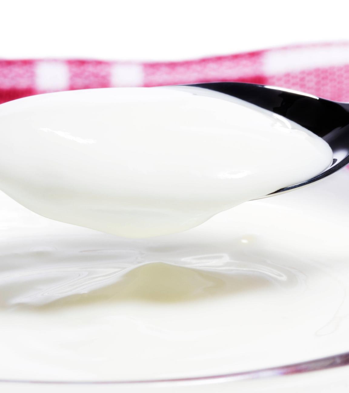 Ein voller Löffel mit Natur-Joghurt über einer Glasschale mit Joghurt.