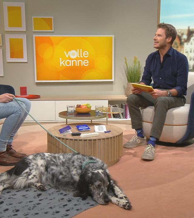 Tierärztin Judith Schönenstein mit Hund im Volle-Kanne-Studio mit Florian Weiss