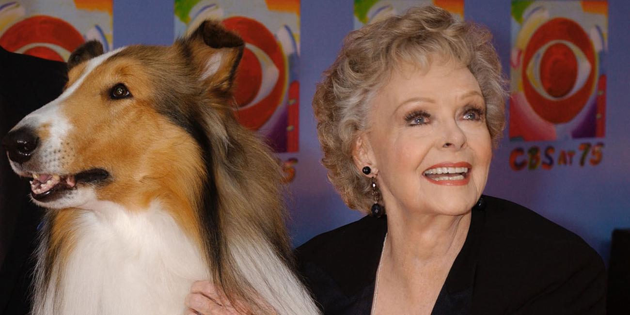 USA, New York: June Lockhart, die die Rolle der Ruth Martin, Mutter von Timmy Martin, in der klassischen Serie "Lassie" spielte, posiert für ein Foto mit Lassie, Archivbild