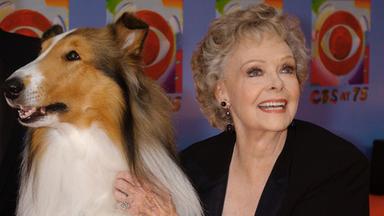 USA, New York: June Lockhart, die die Rolle der Ruth Martin, Mutter von Timmy Martin, in der klassischen Serie "Lassie" spielte, posiert für ein Foto mit Lassie, Archivbild