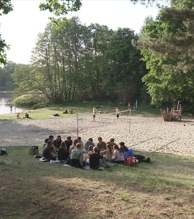 junge Leute auf einer Wiese am See