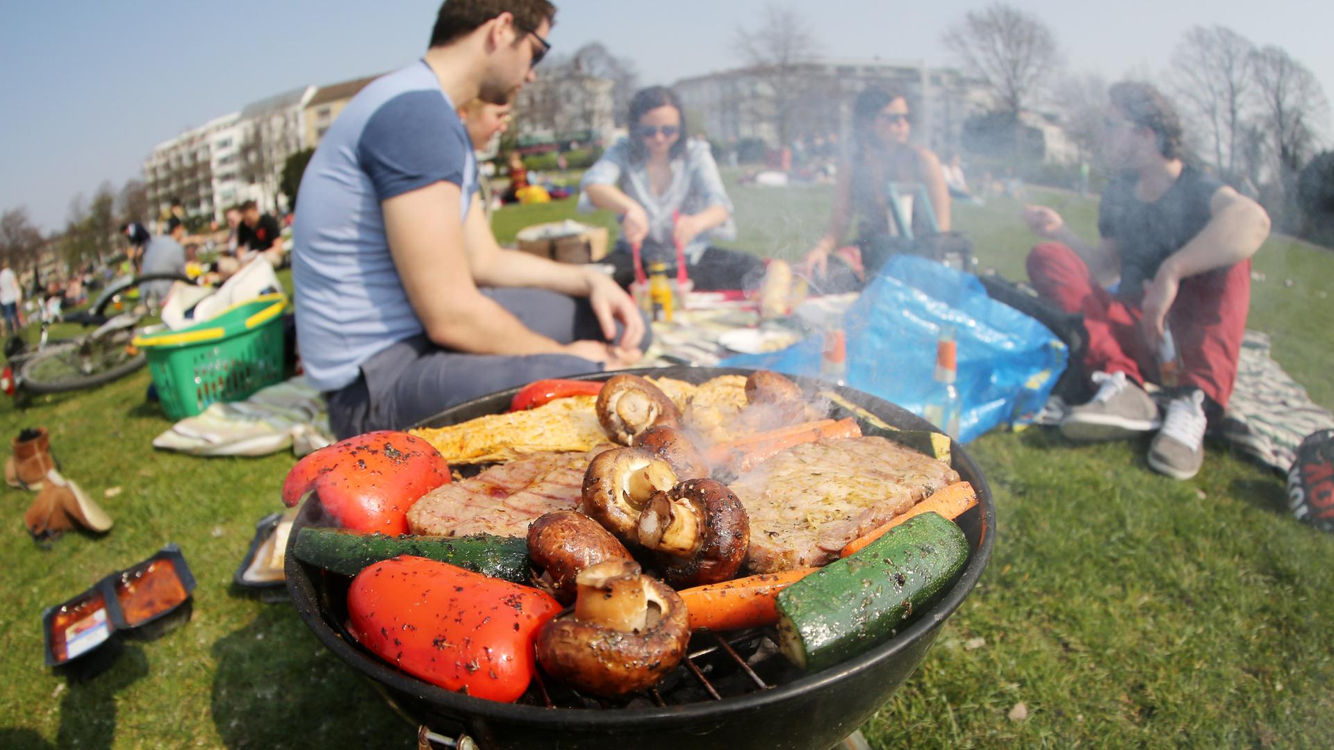 Junge Leute grillen im Park