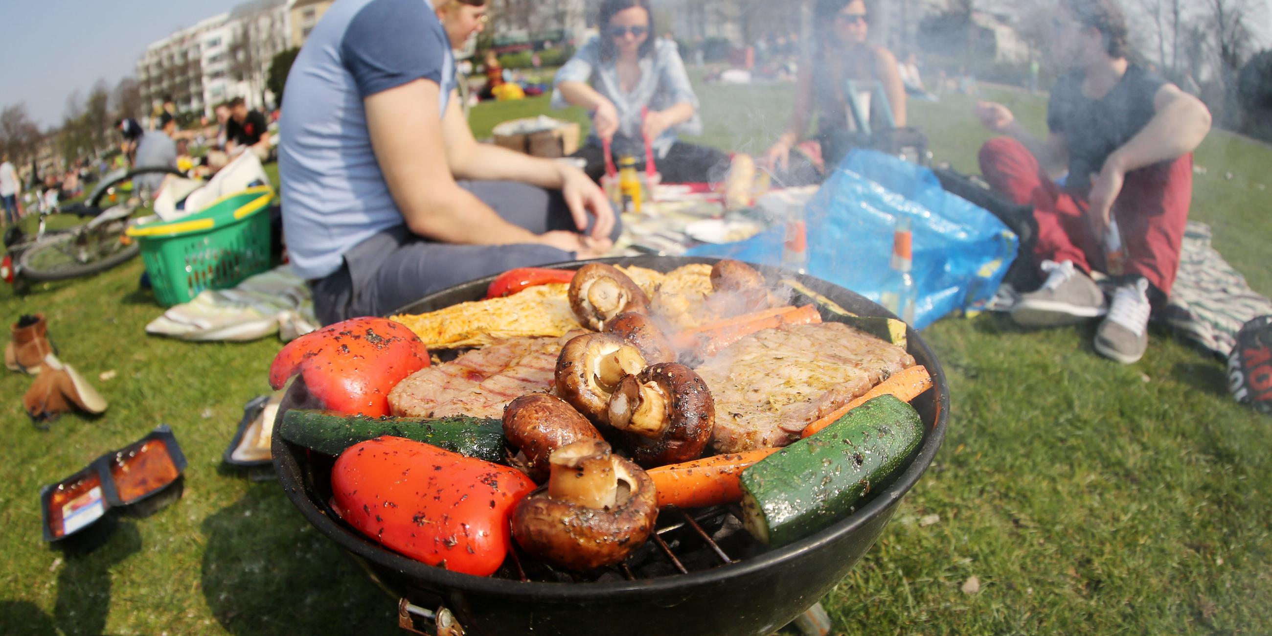 Junge Leute grillen im Park