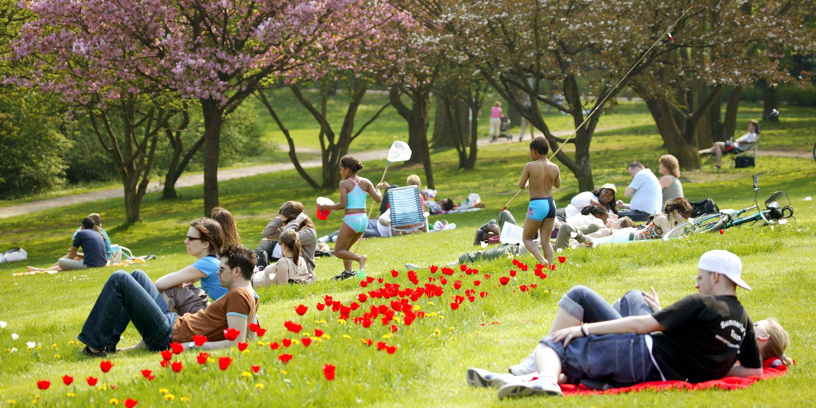 Junge Leute auf einer Liegewiese im Stadtpark