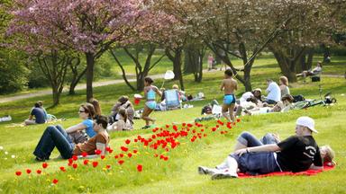 Junge Leute auf einer Liegewiese im Stadtpark
