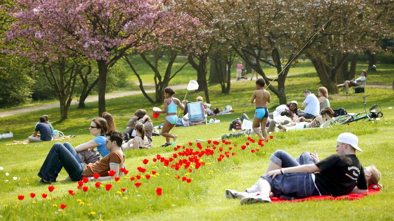 Junge Leute auf einer Liegewiese im Stadtpark