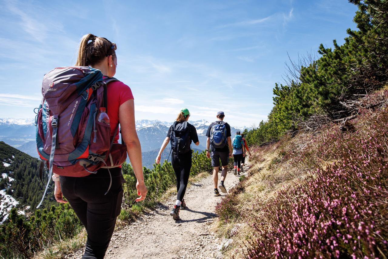 Eine Gruppe von vier jungen Menschen geht auf einem Berg in Bayern wandern.