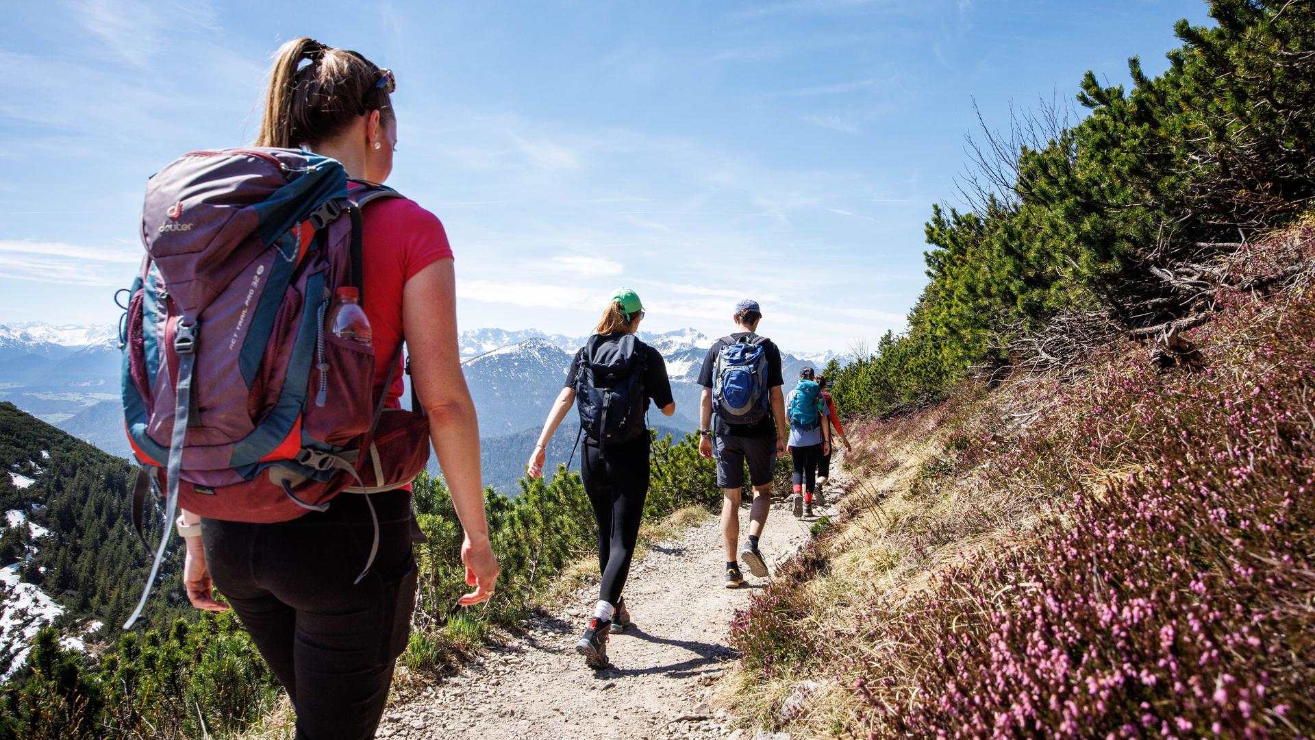 Eine Gruppe von vier jungen Menschen geht auf einem Berg in Bayern wandern.
