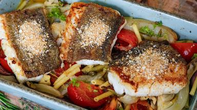 Kabeljau auf Tomaten-Fenchel-Bett