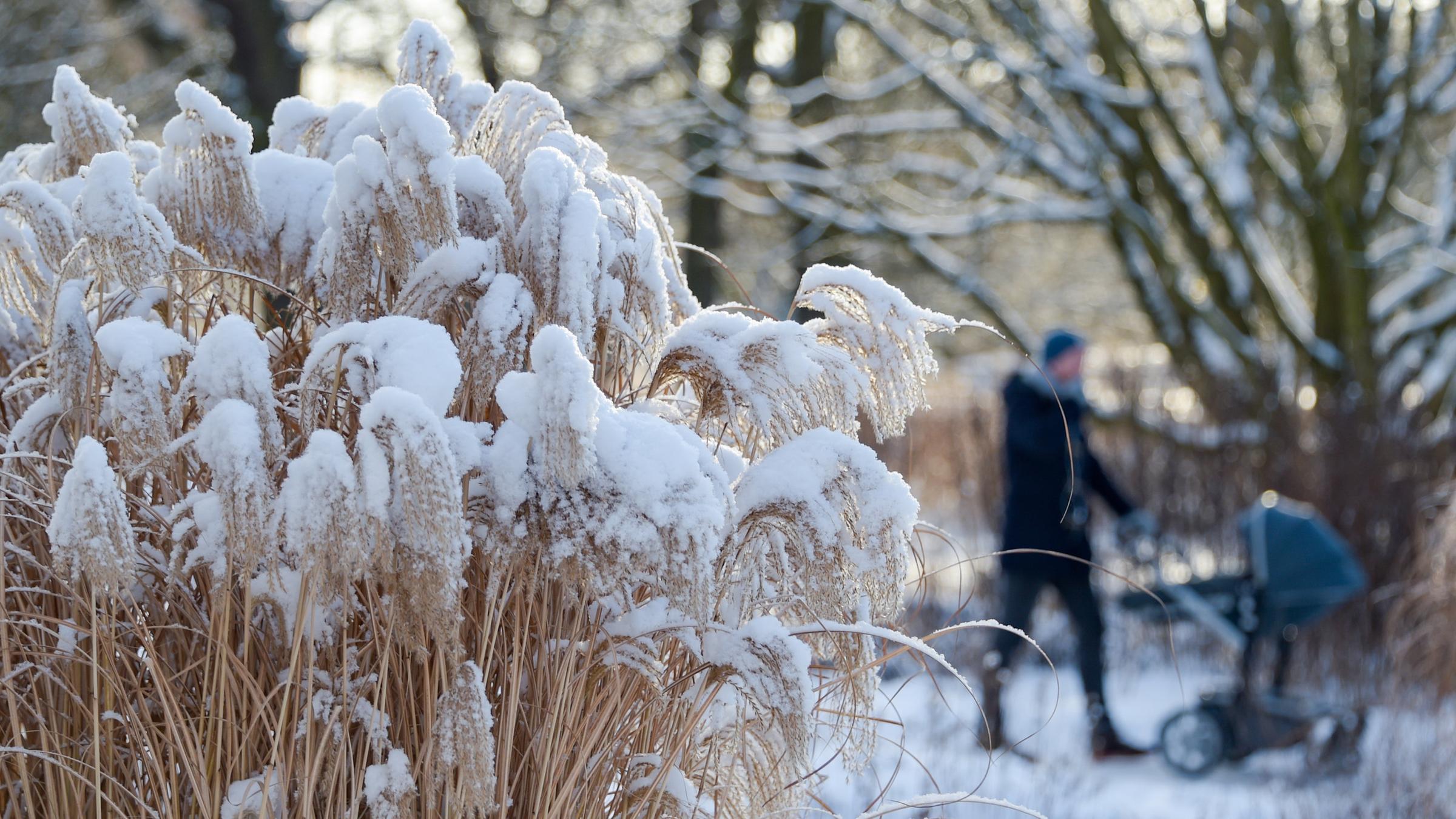 Kältewelle in Deutschland am 26.02.2018 in Hamburg