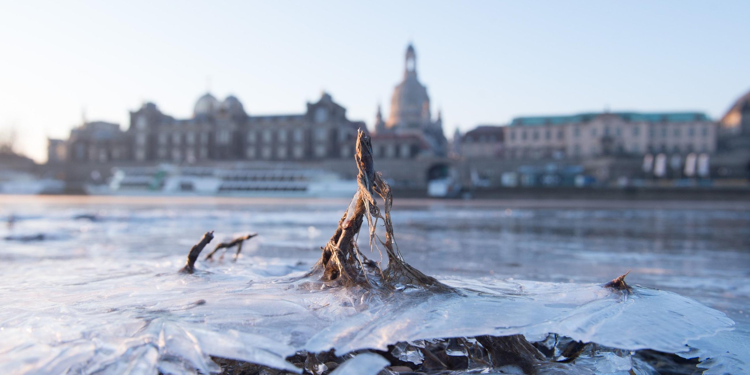 Kältewelle in Deutschland am 26.02.2018 in Dresden