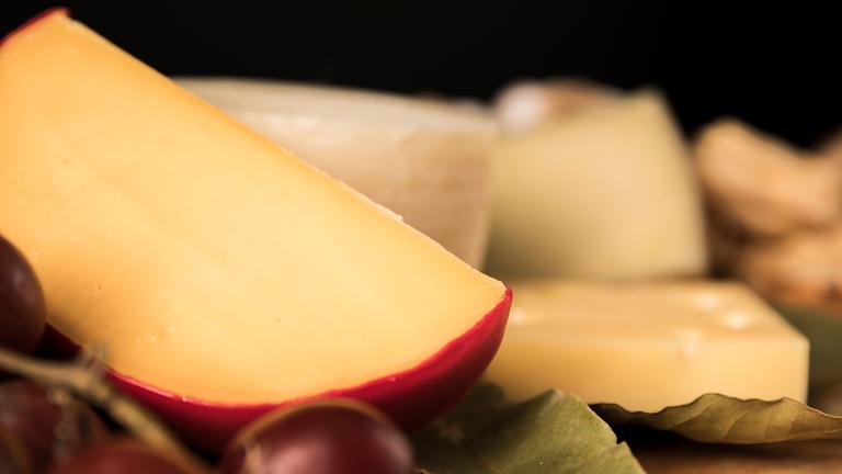 verschiedene Käsesorten und Weintrauben