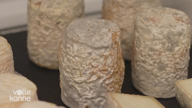 Schimmelkäse