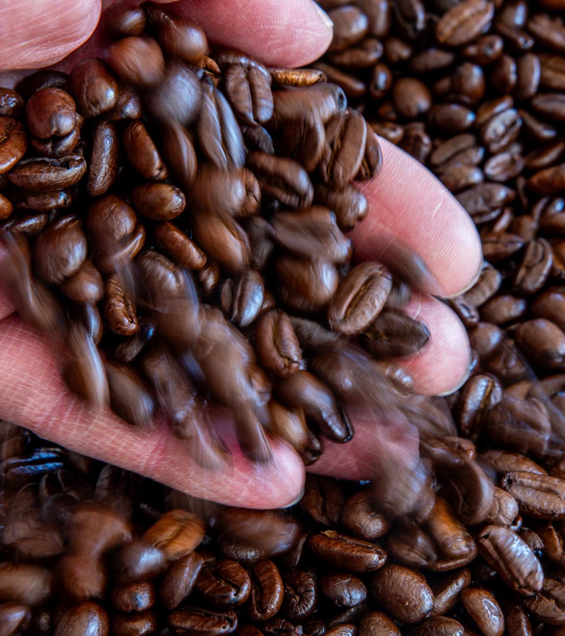 Eine Hand schüttet geröstete Kaffeebohnen auf eine Schale. Die Preise für Rohkaffee sind in den letzten Wochen gestiegen.