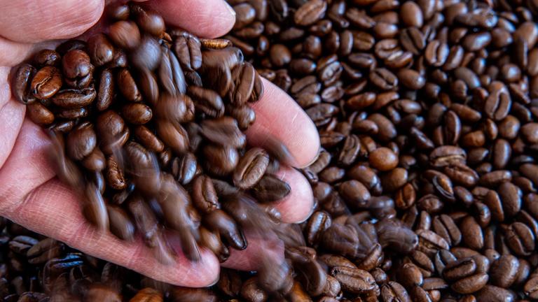 Eine Hand schüttet geröstete Kaffeebohnen auf eine Schale. Die Preise für Rohkaffee sind in den letzten Wochen gestiegen.