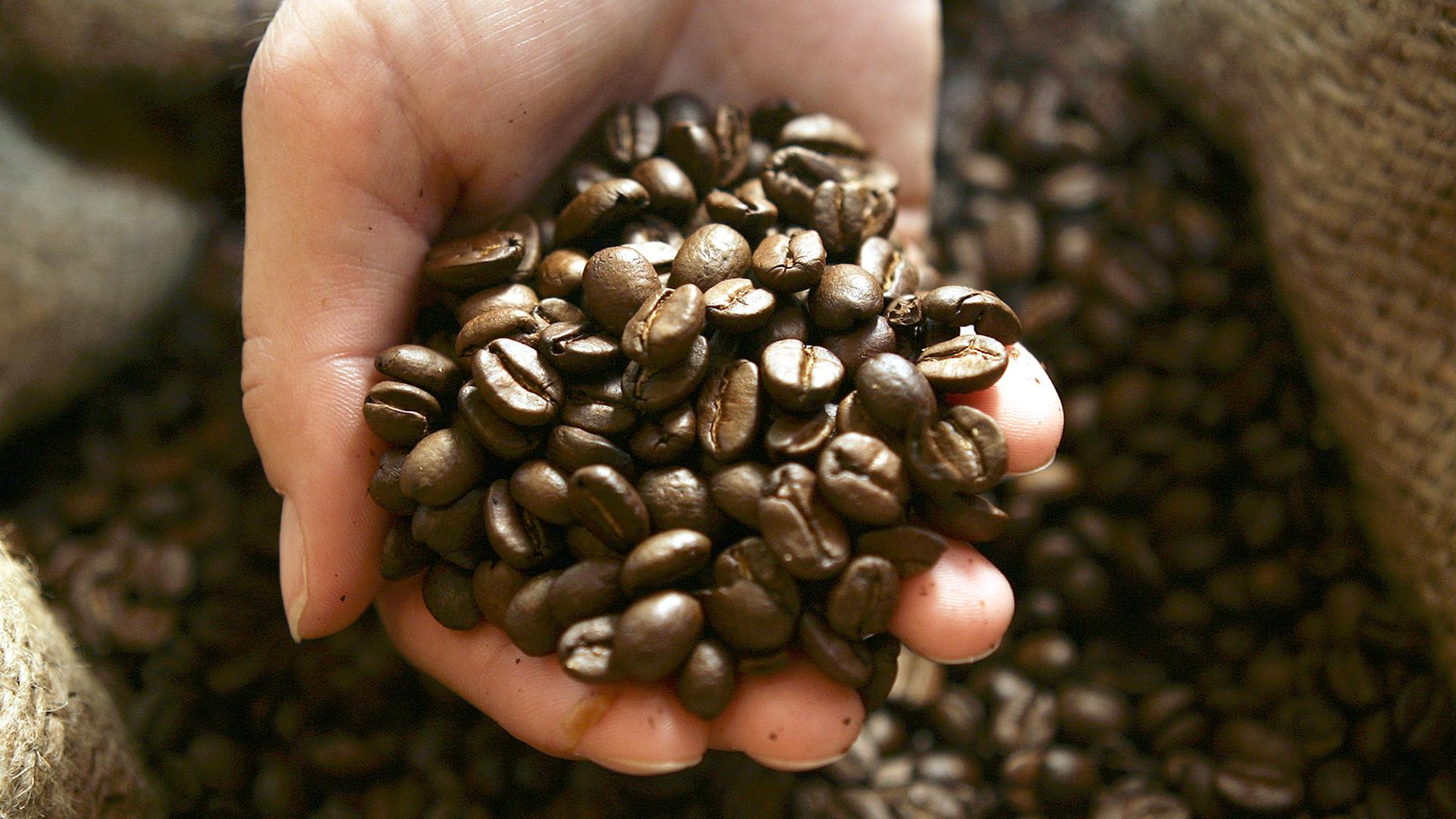 Hand mit Kaffeebohnen, Archivbild