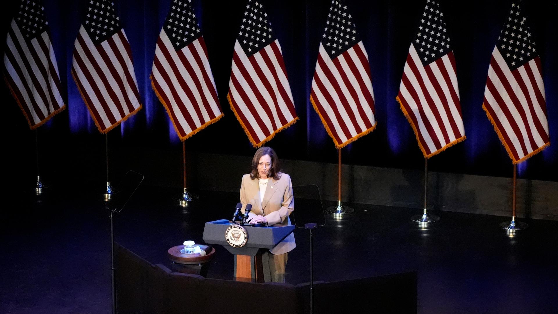 Kamala Harris hält eine Rede bei einer Wahlkampfveranstaltung in Pittsfield, Massachusetts, 27.07.2024.