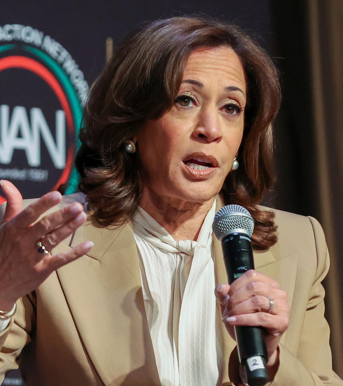 Die frühere US-Vizepräsidentin Kamala Harris auf der Jahreskonferenz der Organisation National Action Network.