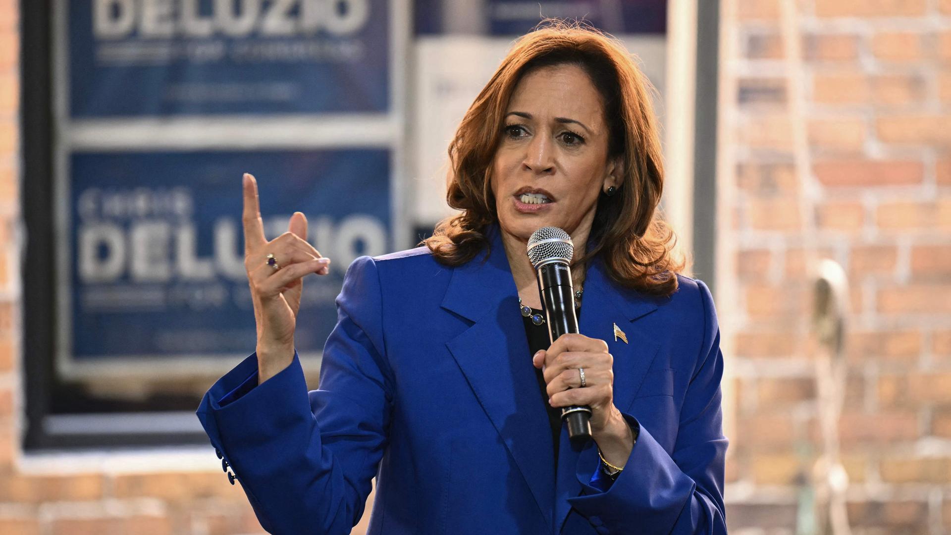 Die demokratische Präsidentschaftskandidatin Kamala Harris spricht während eines Wahlkampfauftritts in Rochester, Pennesylvania.