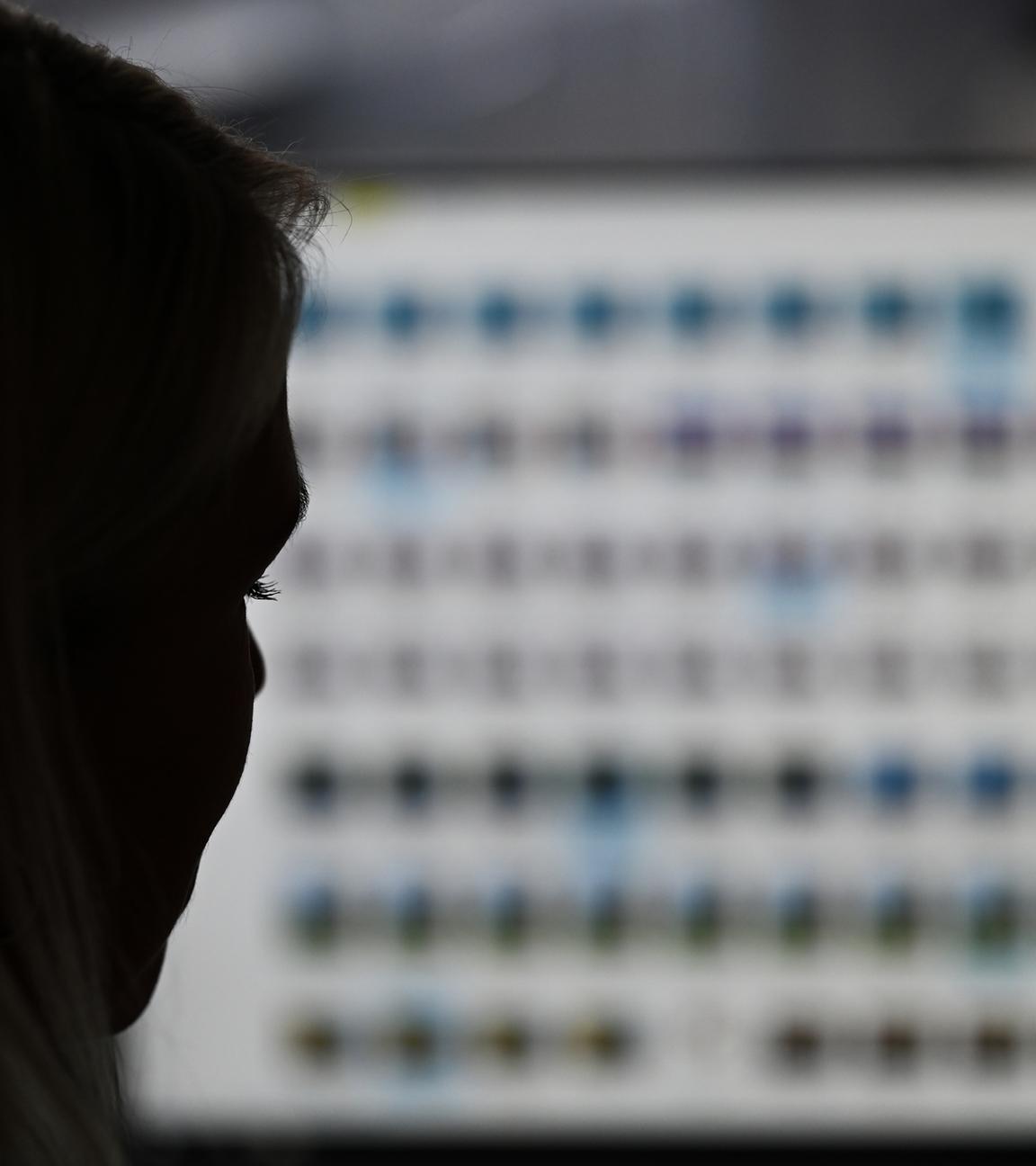 Symbolbild:  Eine Ermittlerin der Besonderen Aufbauorganisation BAO Fokus (Fallübergreifende Organisationsstruktur gegen Kinderpornografie und sexuellen Missbrauch von Kindern) sitzt im Landeskriminalamt Hessen vor einem Monitor mit Fotodateien. 