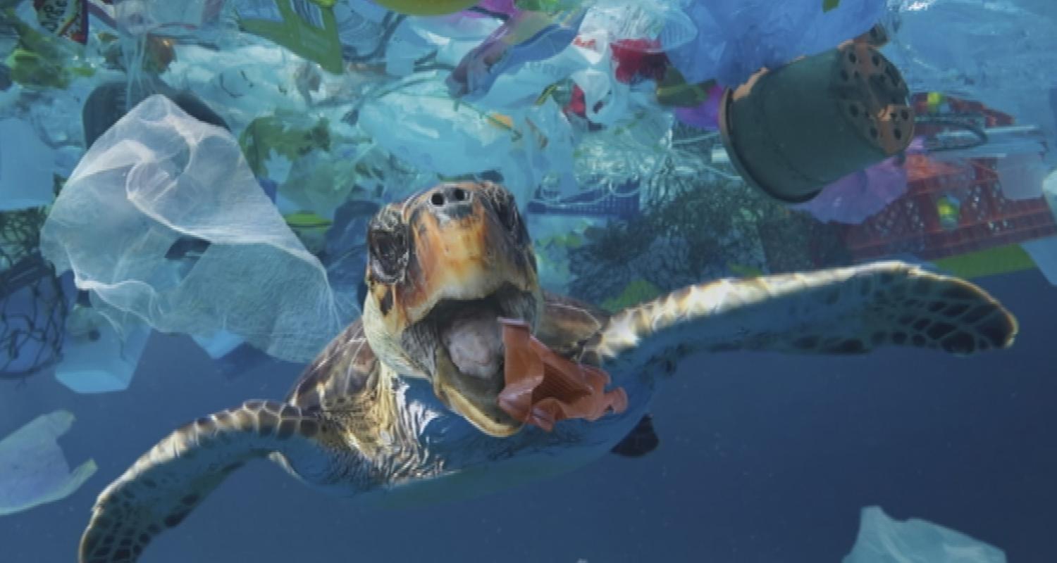 Kampf um Plastikmüll