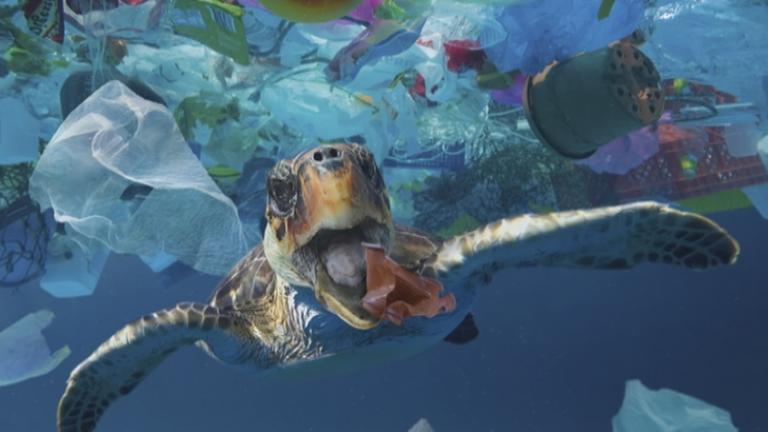 Kampf um Plastikmüll