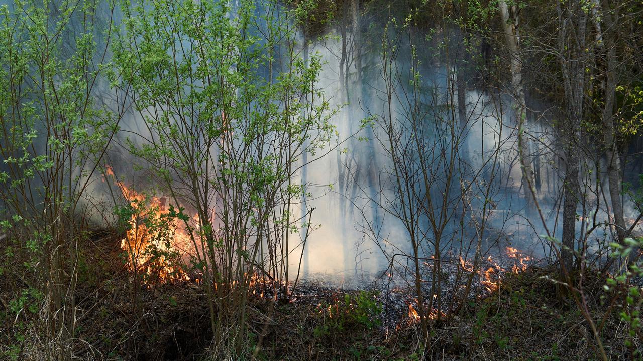 Brände in Kanada: Tausende auf der Flucht