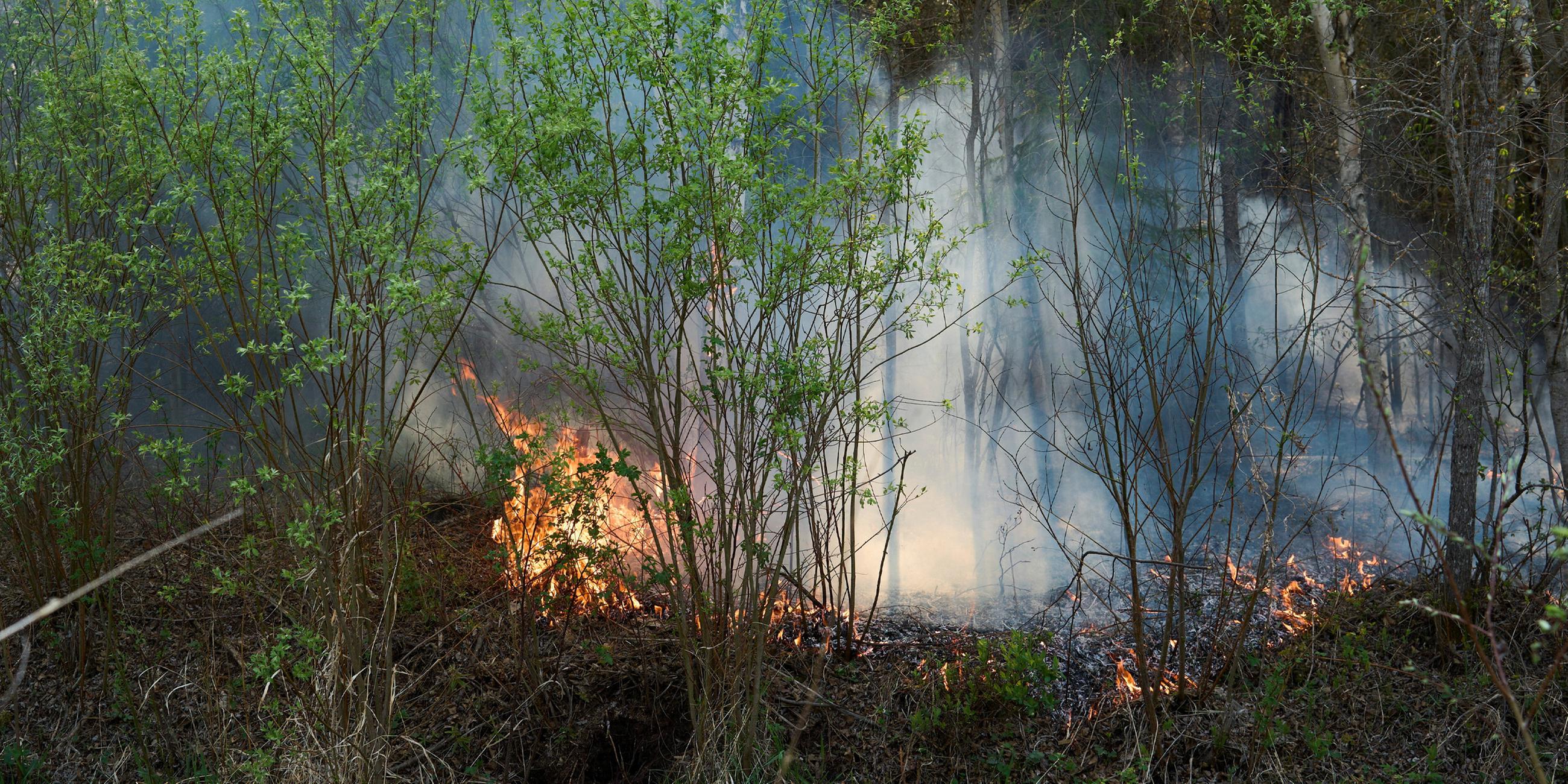 Ein Waldstück in dem ein Feuer ausgebrochen ist, während die Feuerwehr weiterhin gegen Waldbrände rund um den Lac du Bonnet kämpft. Aufgenommen am 15.05.2025.