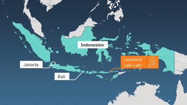 Karte, Indonesien, Vulkan, Lewotobi, Laki-Laki