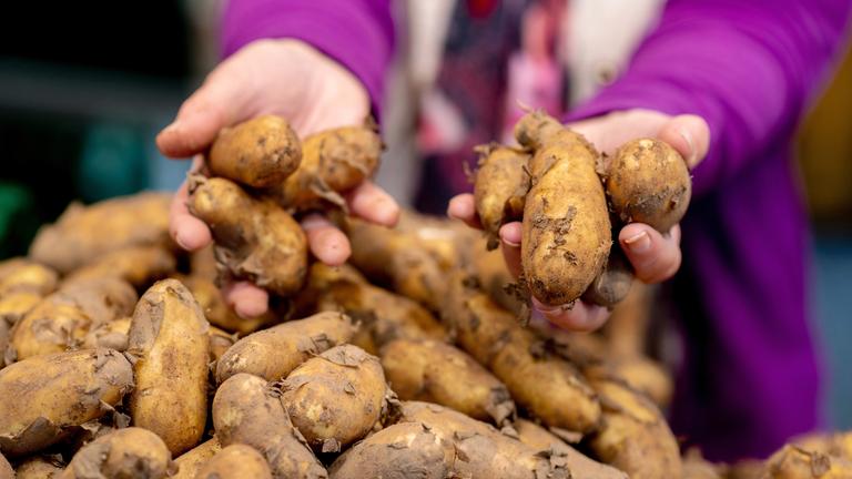 Eine Kiste mit Kartoffeln auf dem Wochenmarkt, aufgeniommen am 30.05.2024 in Oldenburg