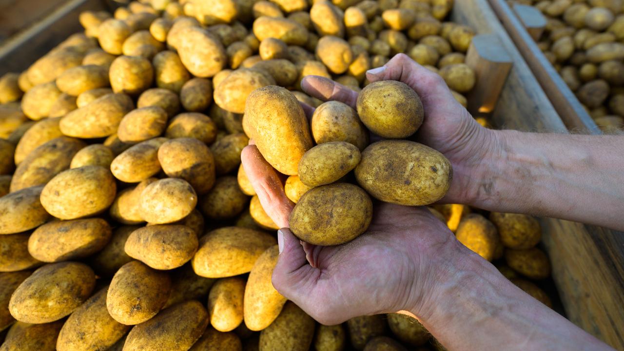 Crop failures due to plant disease - | especially in the southwest