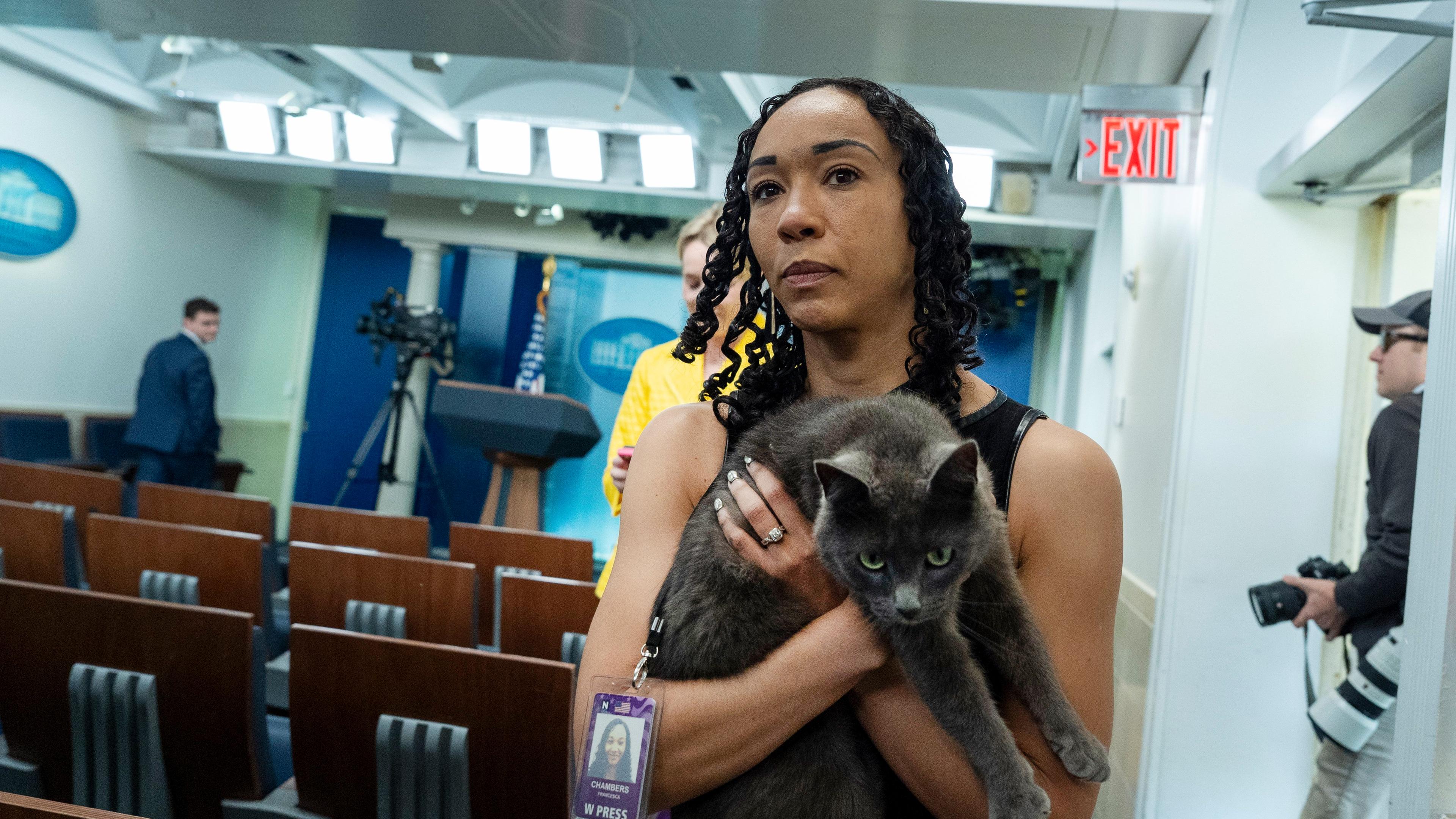 Sophie, eine Katze, die sich auf das Gelände des Weißen Hauses verirrt hat, wird von Francesca Chambers, Korrespondentin des Weißen Hauses für USA Today, im Weißen Haus auf dem Arm gehalten. 