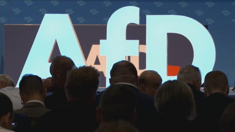 Europas Rechte und die AFD