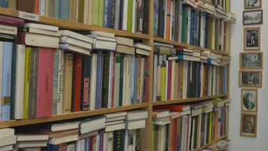 Viele Bücher in einem Regal